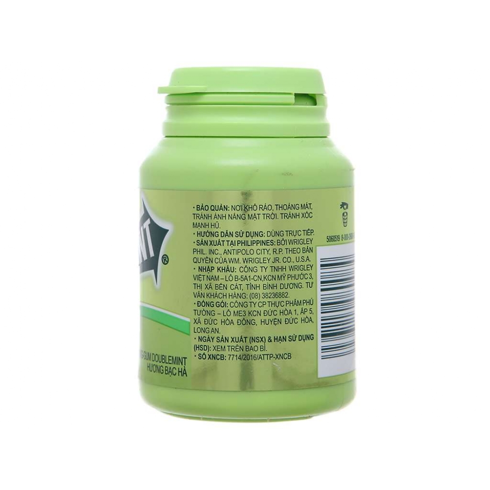 Doublemint Chewing Gum Jar 58.4g Peppermint Flavor
