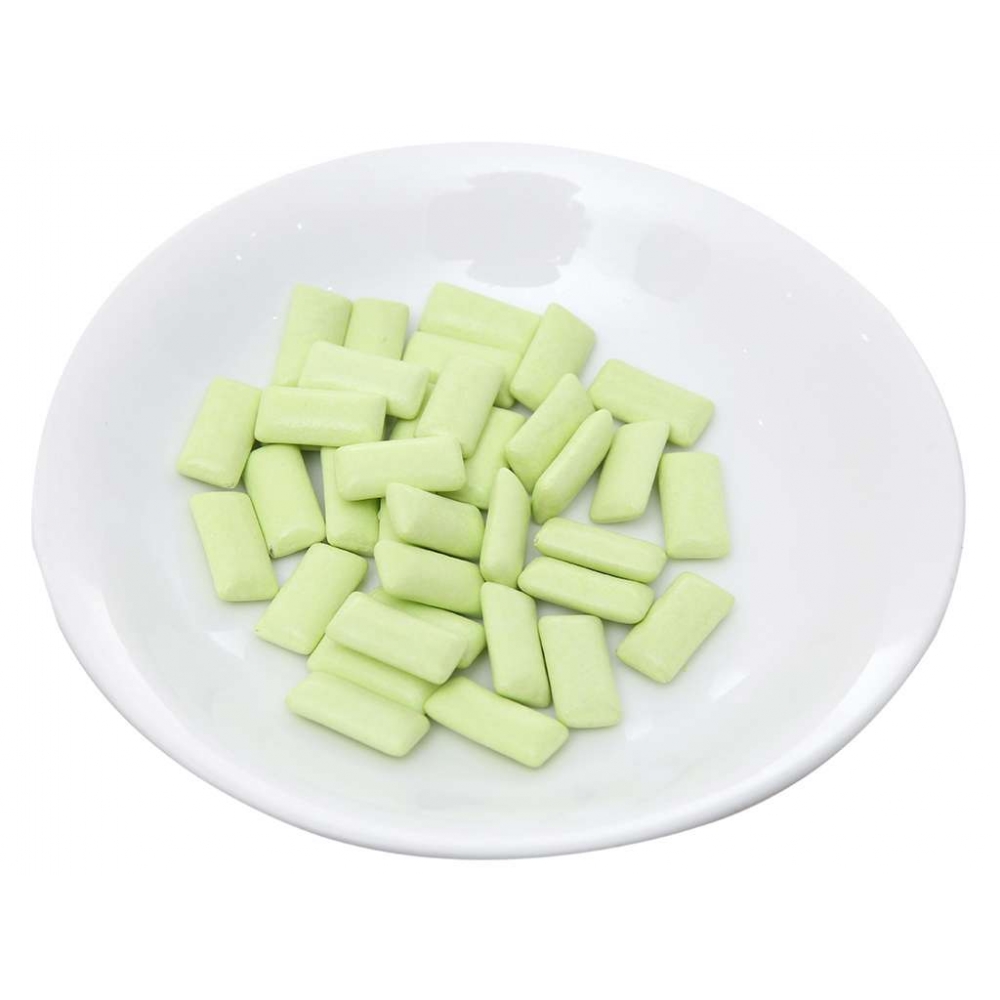 Doublemint Chewing Gum Jar 58.4g Peppermint Flavor